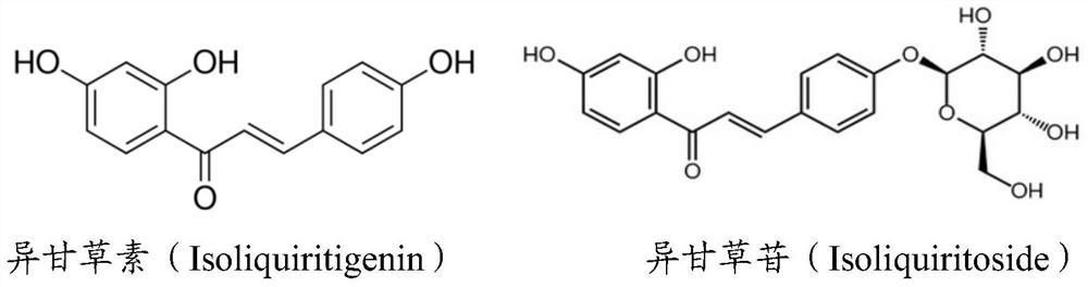 Use of isoliquiritigenin or isoliquiritigenin in the preparation of high-safety anti-aging cosmetics