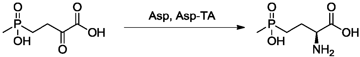 D-amino acid oxidase mutant and applications thereof