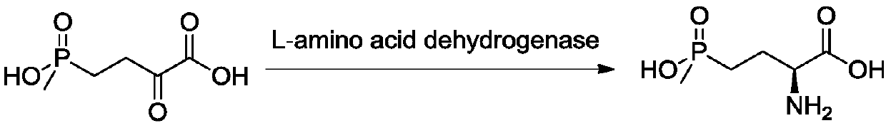 D-amino acid oxidase mutant and applications thereof