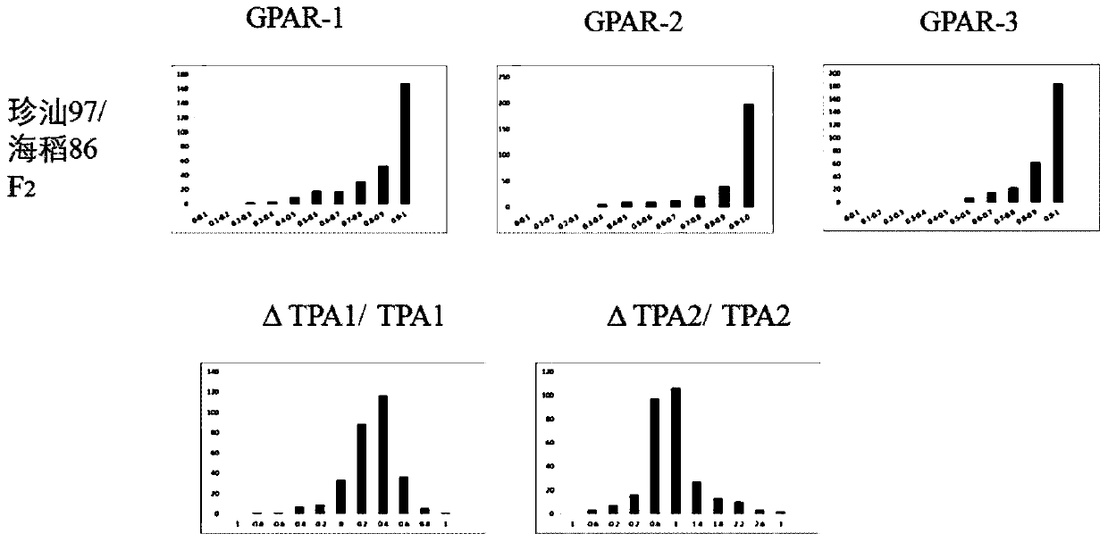 Rice salt-tolerant QTL, positioning method, molecular marker and application thereof