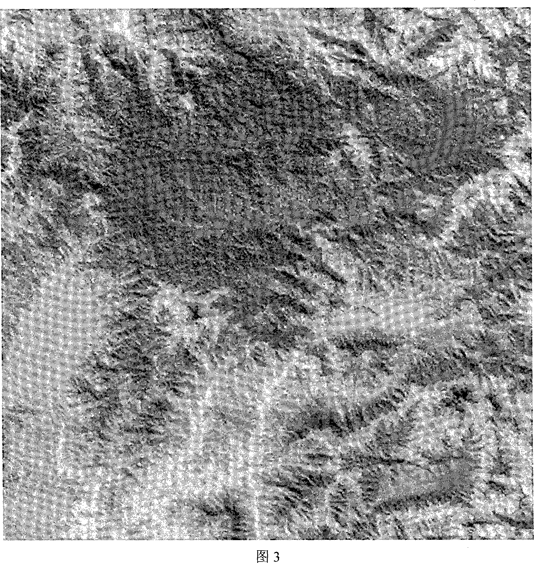 Landform transformation method for sonar remote sensing digital image of underwater digit land model