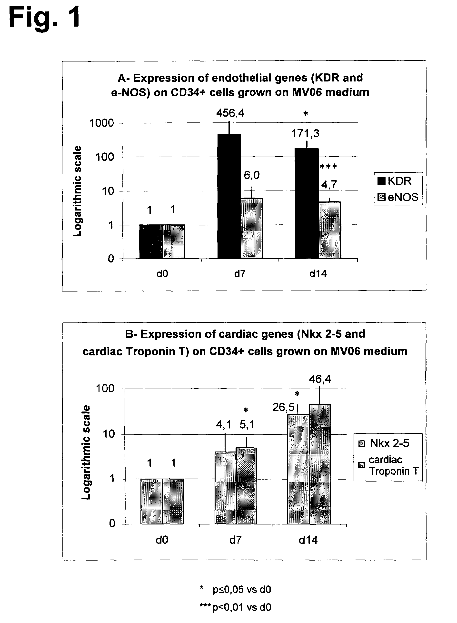 Culture medium named MV06 for both endothelial and myocardiac cells