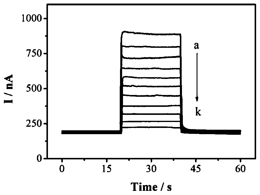 Photoelectrochemical biosensor for detecting histone acetyltransferase activity and preparation method thereof