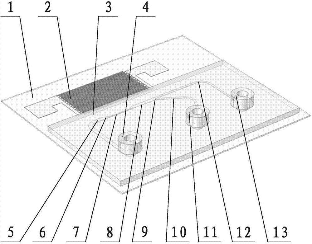 Acoustic surface wave based microfluidic plasma separating chip and method