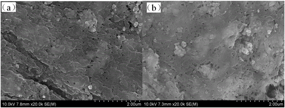 Lithium ionic sieve adsorbent with self-cleaning function and preparation method and application thereof