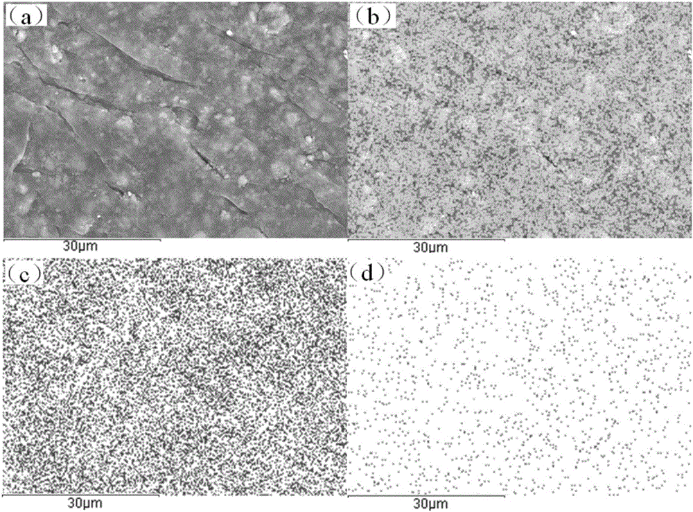 Lithium ionic sieve adsorbent with self-cleaning function and preparation method and application thereof