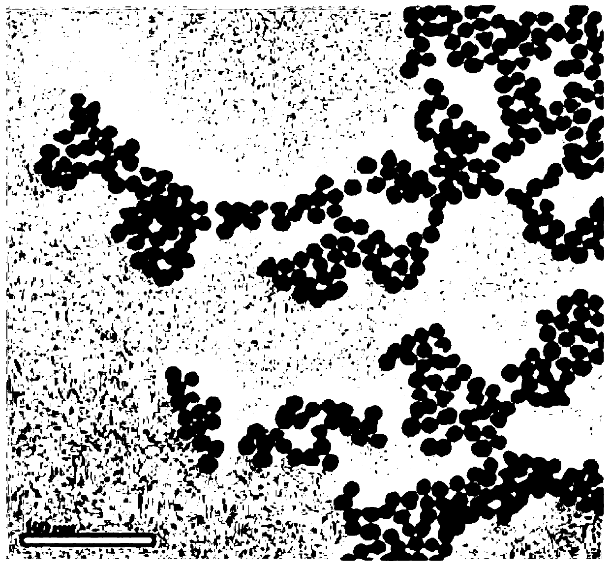 A thermosensitive vascular embolization material capable of long-term autoradiography and its preparation method