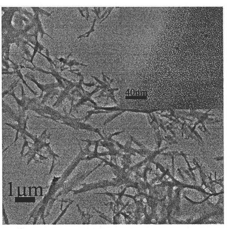 Method for preparing silver nano sheet self-assembling material