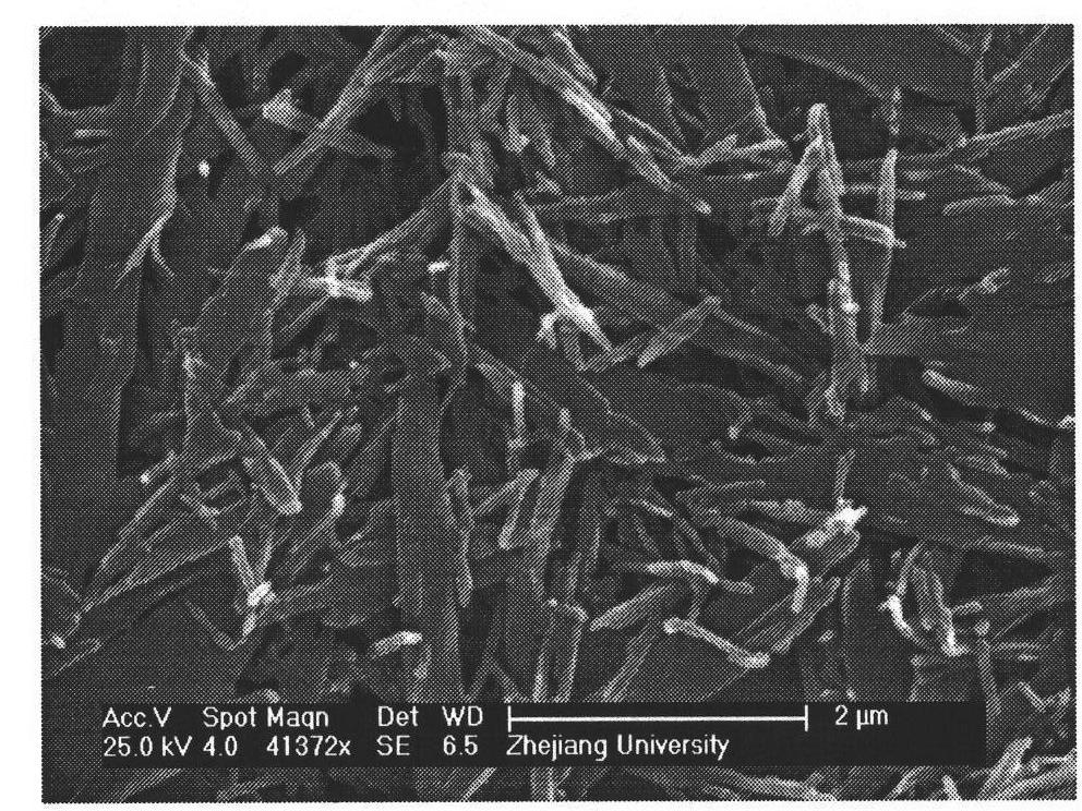 Method for preparing silver nano sheet self-assembling material