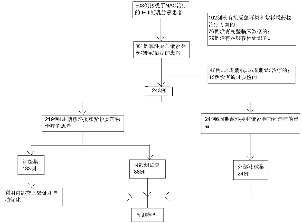 Application of reagent for detecting gene expression level and construction method of NAC (neoadjuvant chemotherapy) curative effect prediction model for breast cancer patients