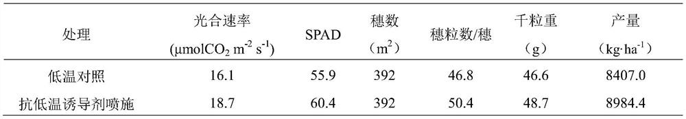 Wheat low-temperature-resistant inducer product and use method thereof