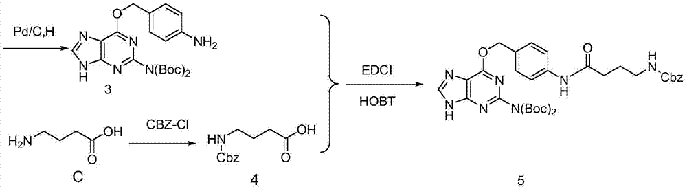 Preparation method and applications of oriented immobilized PEGA composite resin