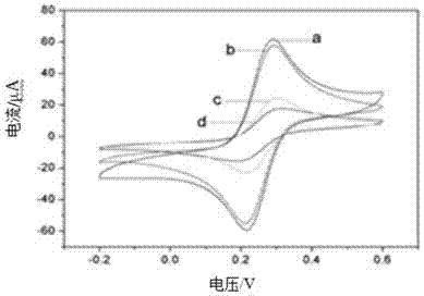 Cell-based biosensor, preparation method thereof and method of evaluating oxidation resistance by employing same