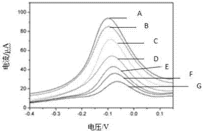 Cell-based biosensor, preparation method thereof and method of evaluating oxidation resistance by employing same