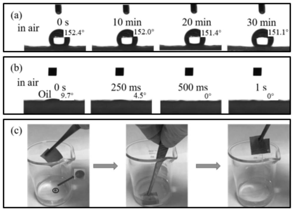 Preparation method and oil-water separation membrane of high-strength and high-flux oil-water separation membrane