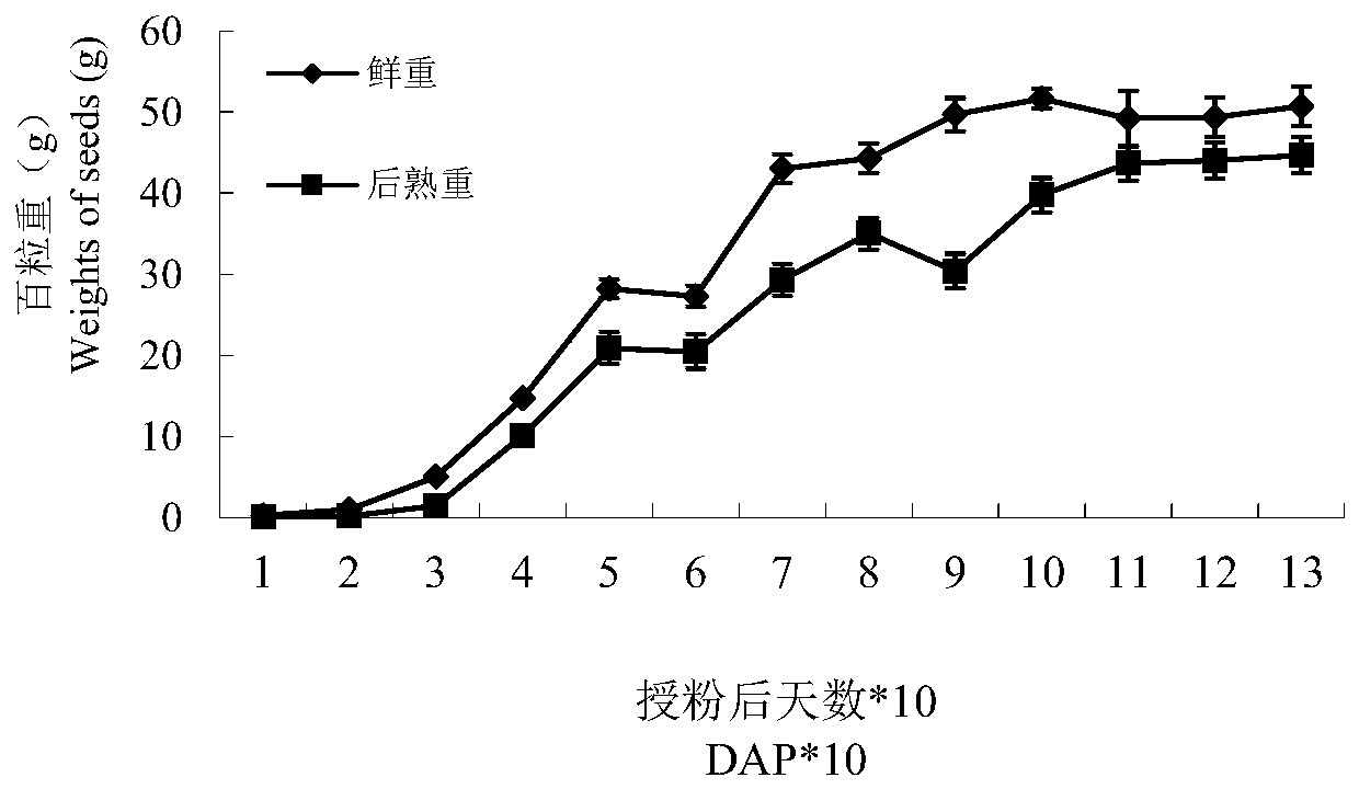 A method for increasing fatty acid content in peony seeds