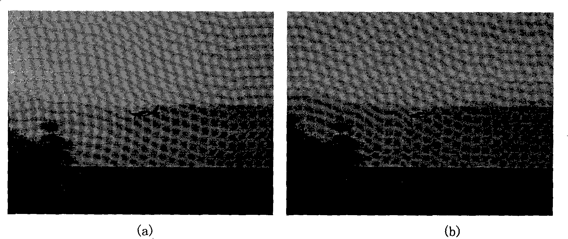 Movement target detection method based on visual sense bionics