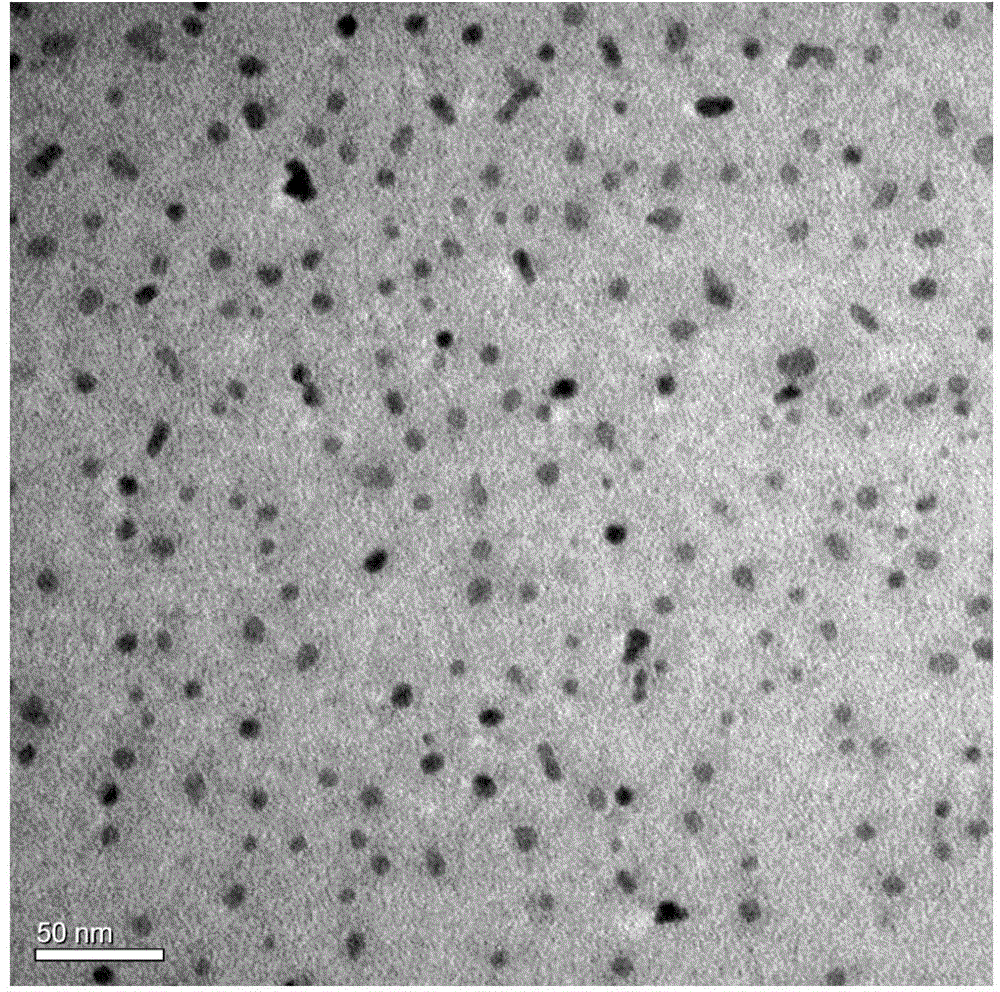 Simple bismuth oxyiodide quantum dot photocatalyst synthesizing method