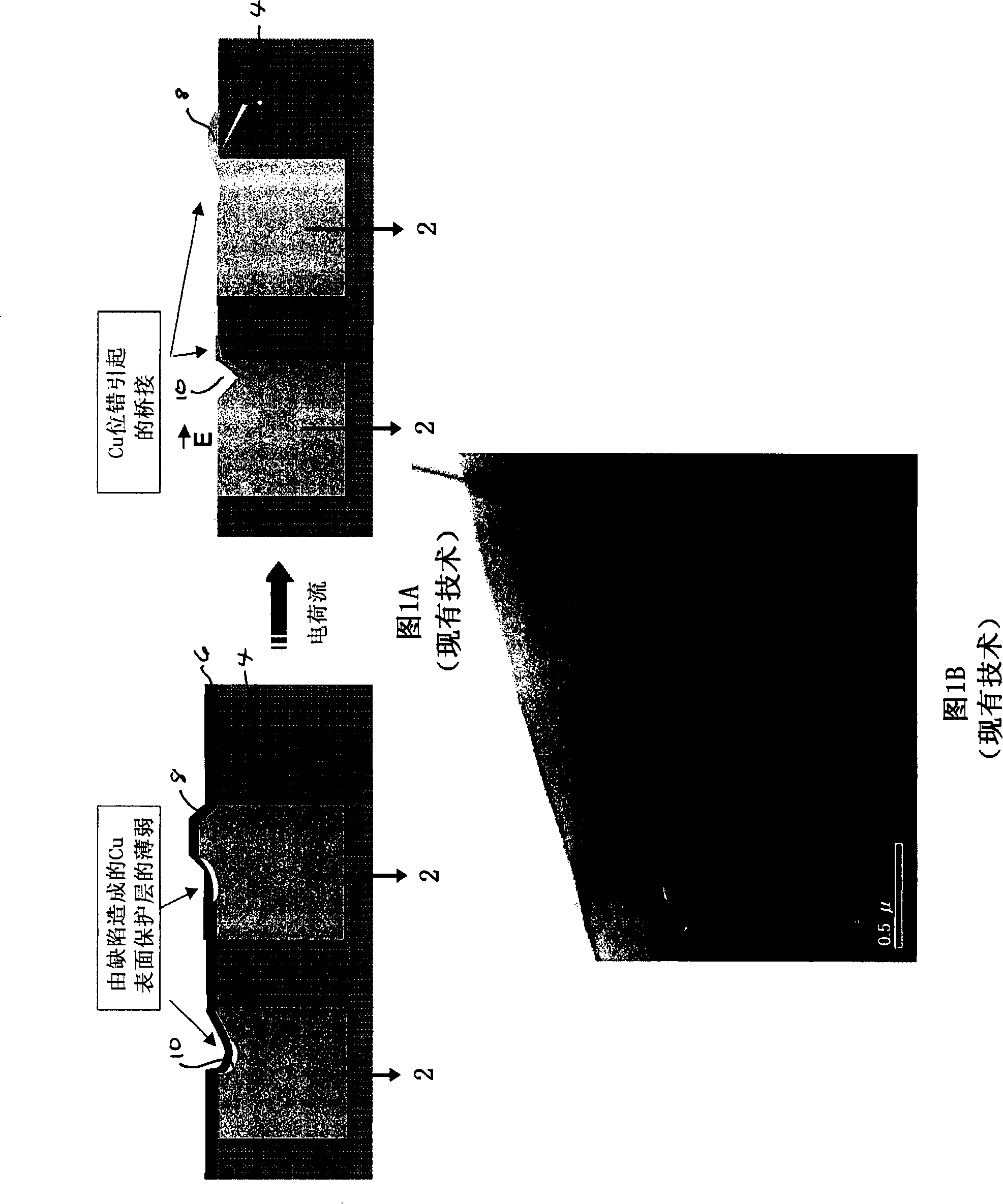 Multi-speed interconnected reliability testing structure