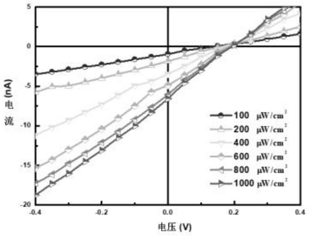 Flexible solar blind detector of small organic molecule-gallium oxide heterojunction and preparation method of flexible solar blind detector