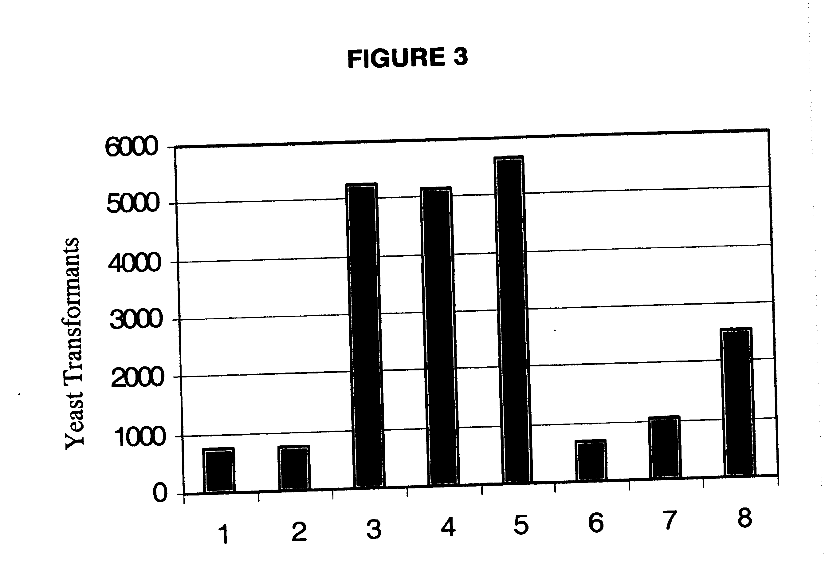 Gene manipulation method using homologous recombination