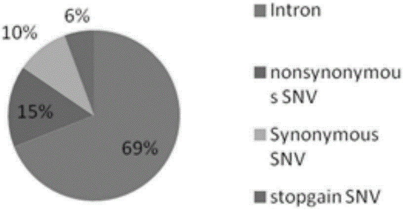 Detection kit of gene mutations associated with phenylketonuria