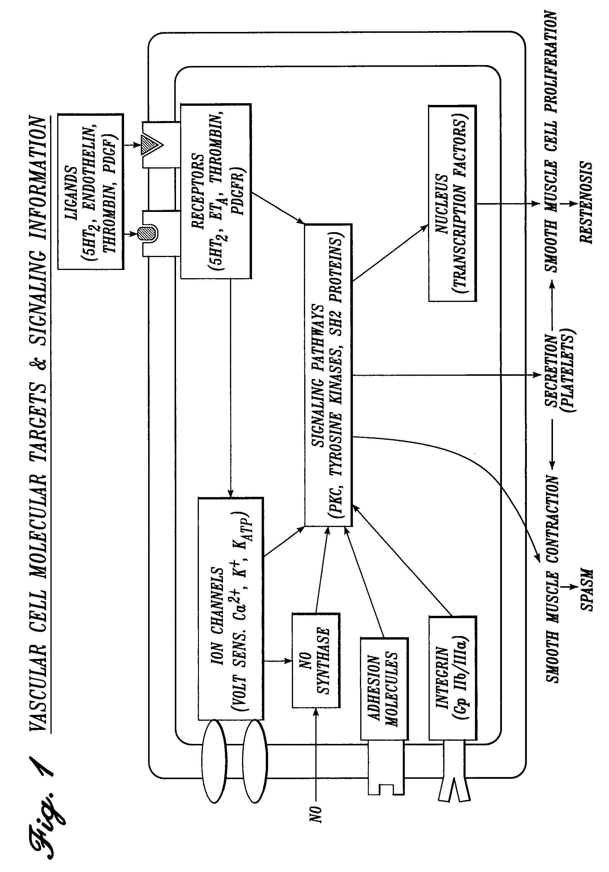 Serotonin antagonist compositions and methods for the local inhibition of pain and inflammation