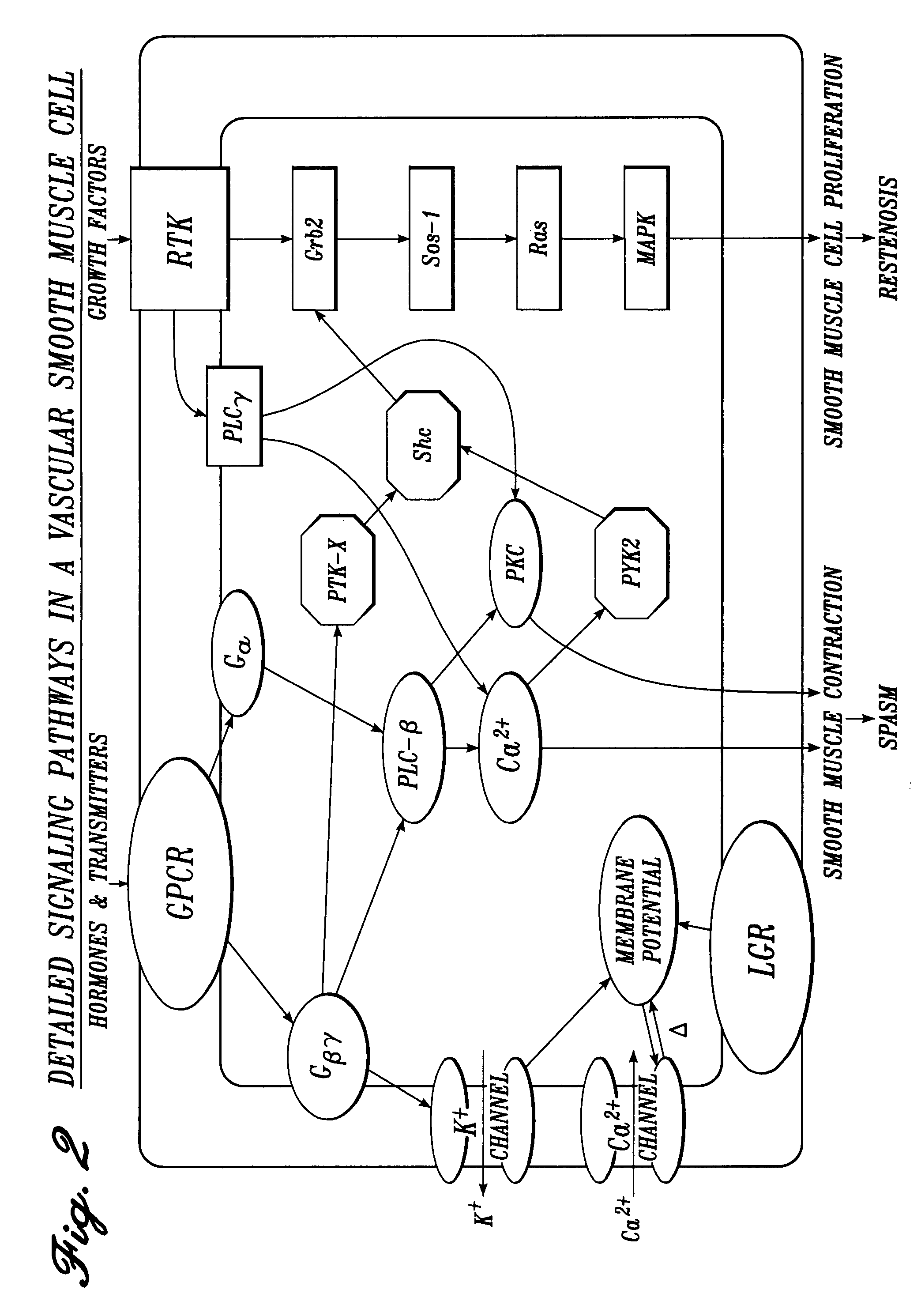 Serotonin antagonist compositions and methods for the local inhibition of pain and inflammation