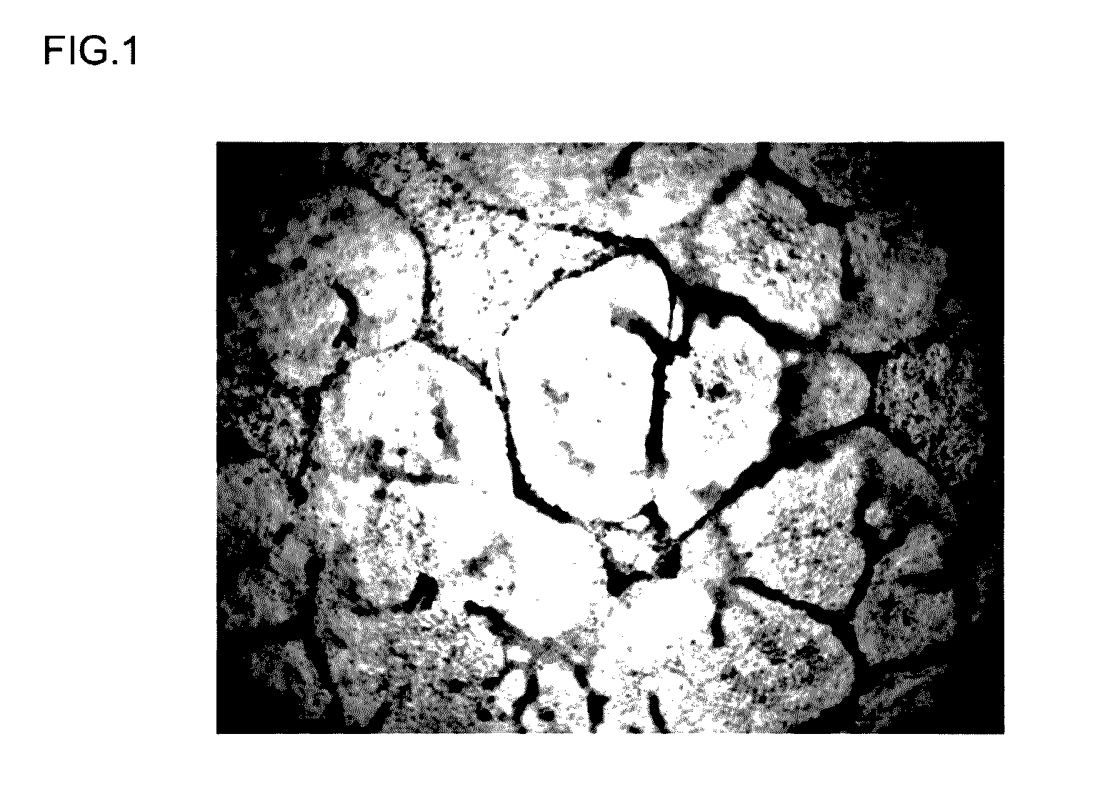 Method for inducing differentiation of pluripotent stem cells into endodermal cells