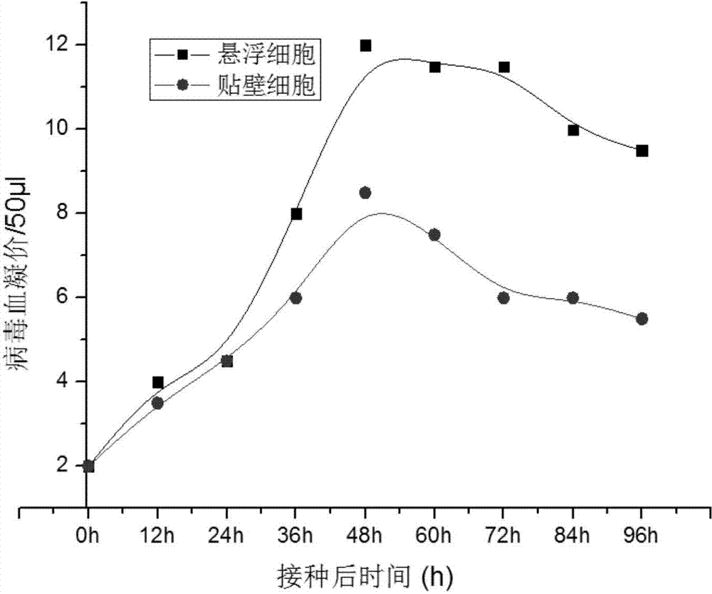 Method for preparing serum-free cultured suspension mammal cell line, prepared cell line thereof and application thereof