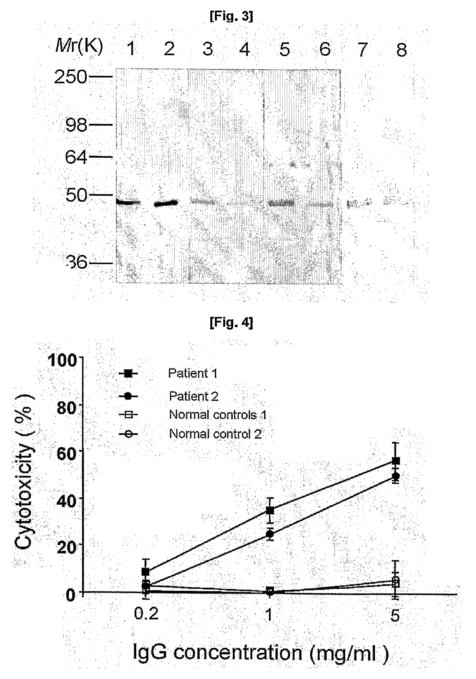 Composition for Prevention, Treatment, and Diagnosis of Chronic Obstructive Pulmonary Disease (Copd)