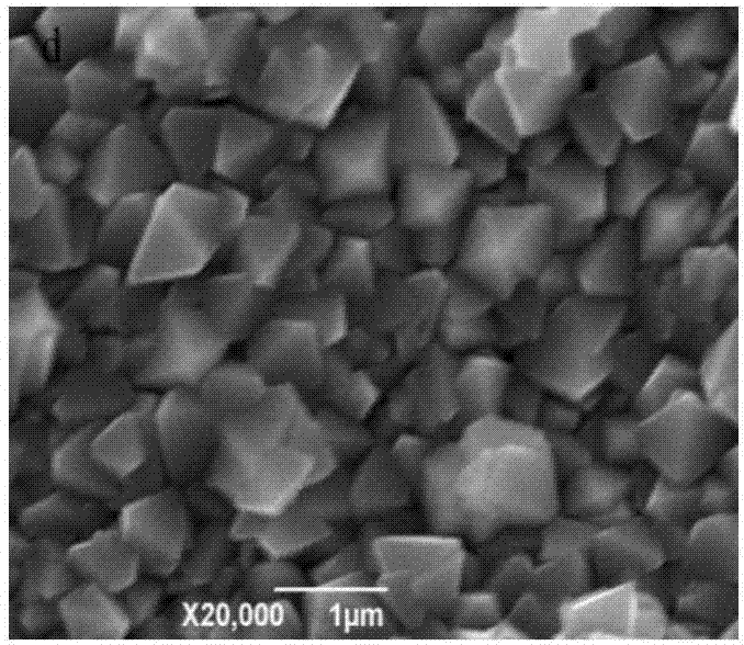 Preparation method and application of cuprous-oxide-loaded-on-foam-nickel composite graphene oxide photocatalyst