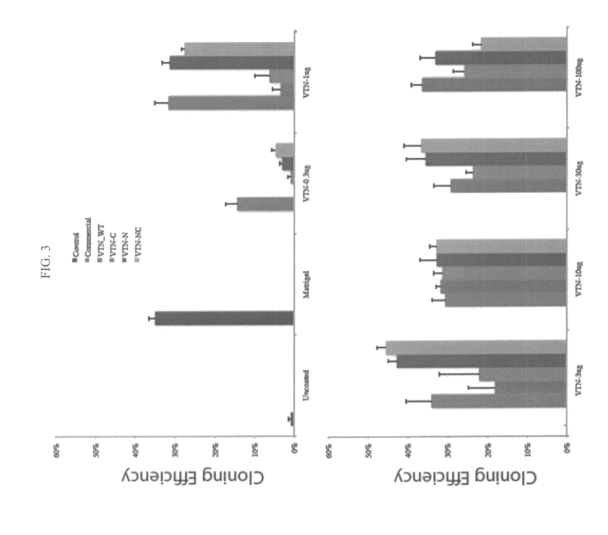 Vitronectin-derived cell culture substrate and uses thereof