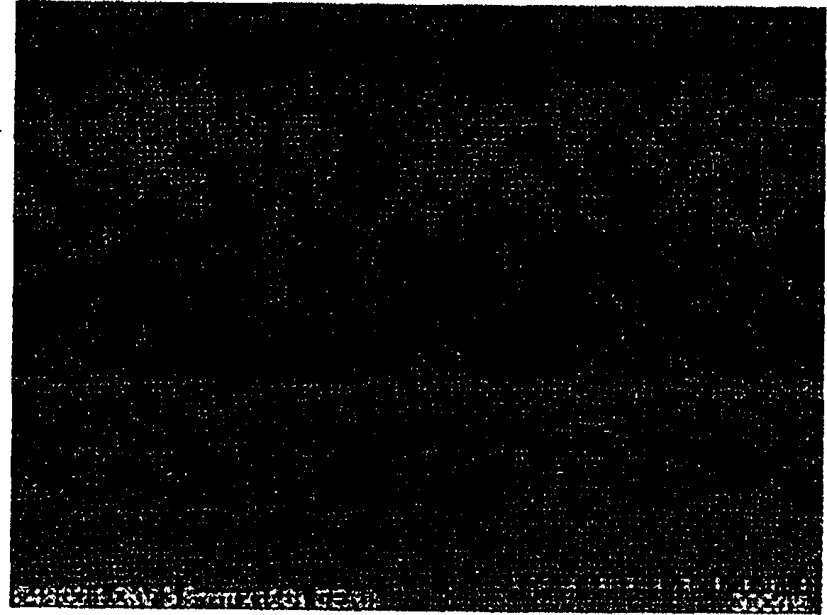 Optical transparent member and optical system using the same