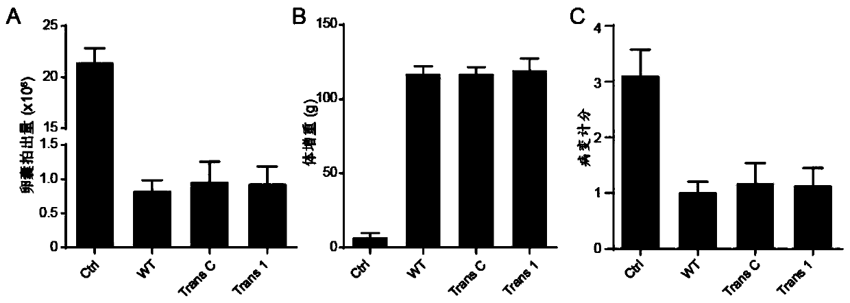 Coccidiosis vaccine component and vaccine with cross immunity protection