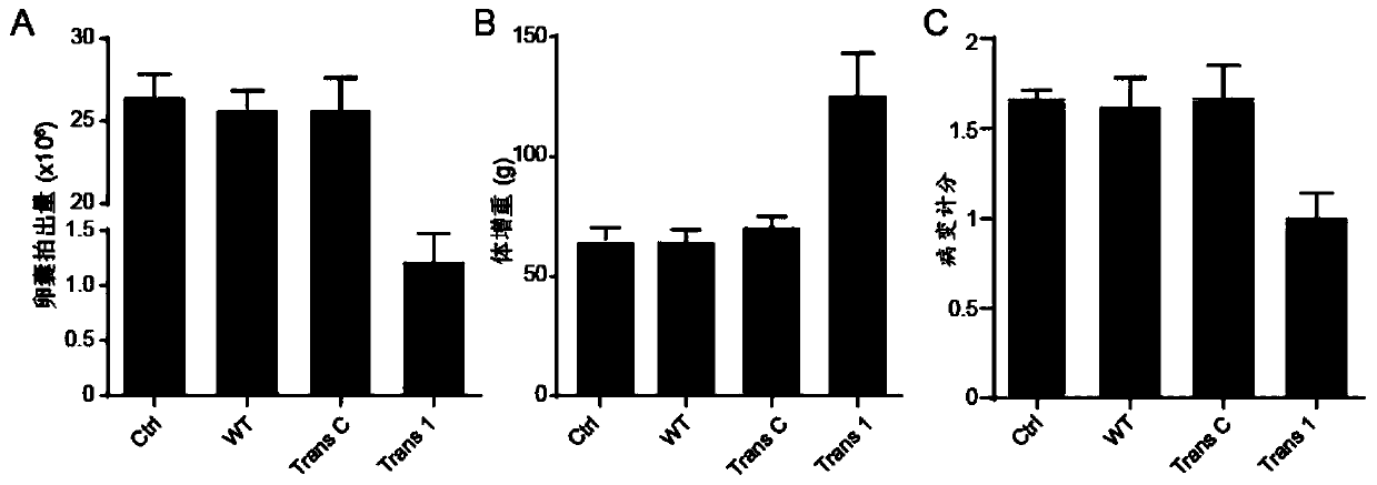 Coccidiosis vaccine component and vaccine with cross immunity protection