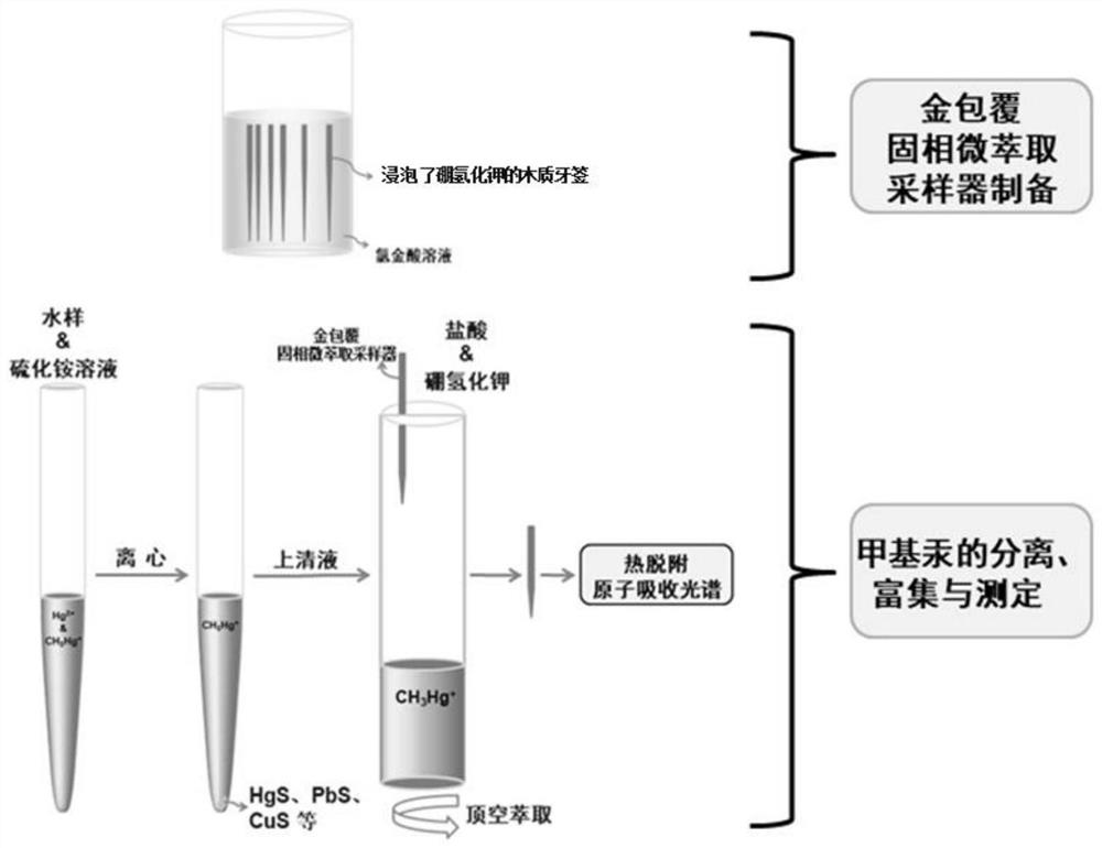 Method for detecting low-concentration methyl mercury