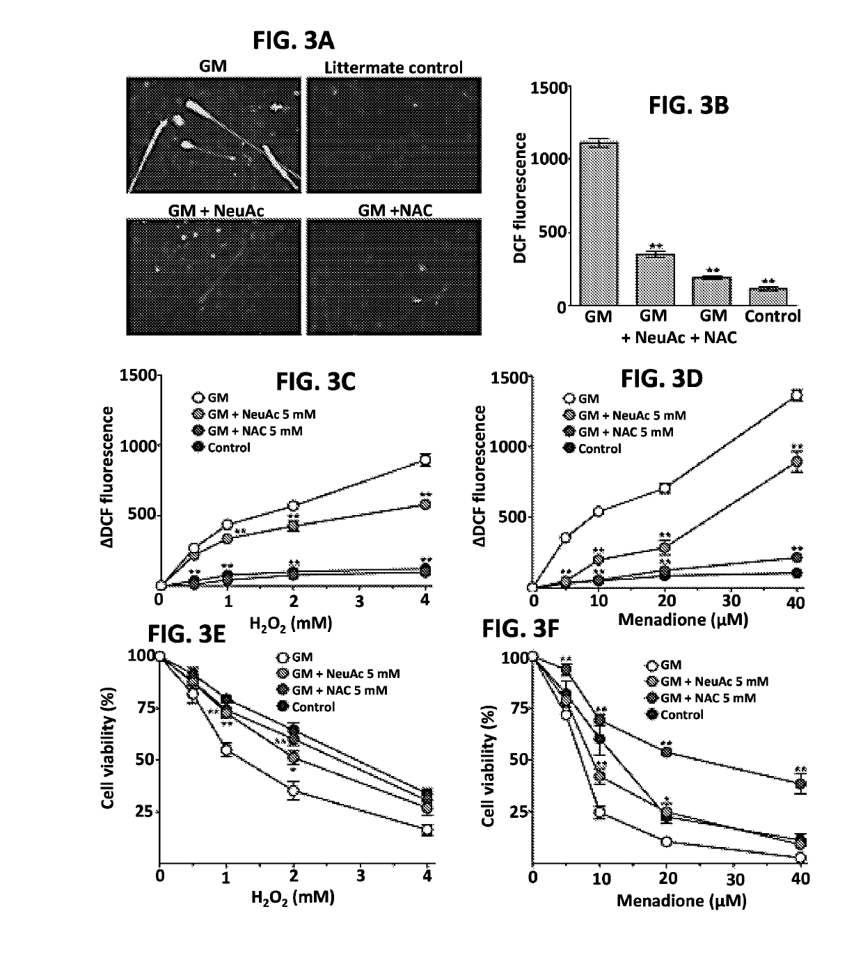 Sialylation-increasing therapies for diseases associated with oxidative stress