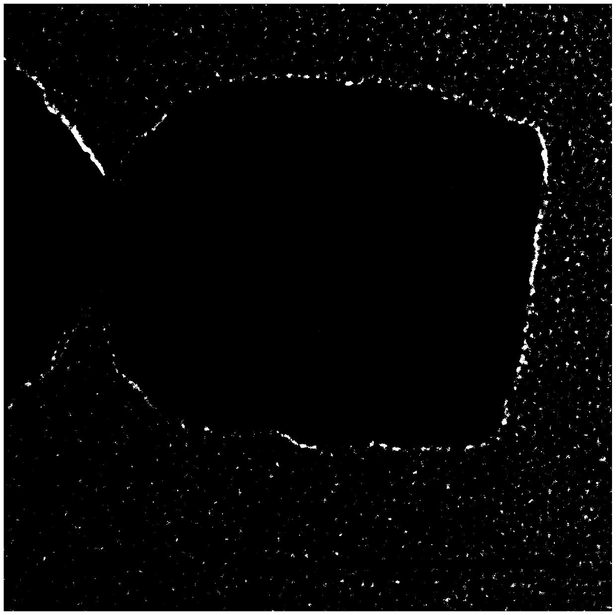 Method for preparing palladium nanocube