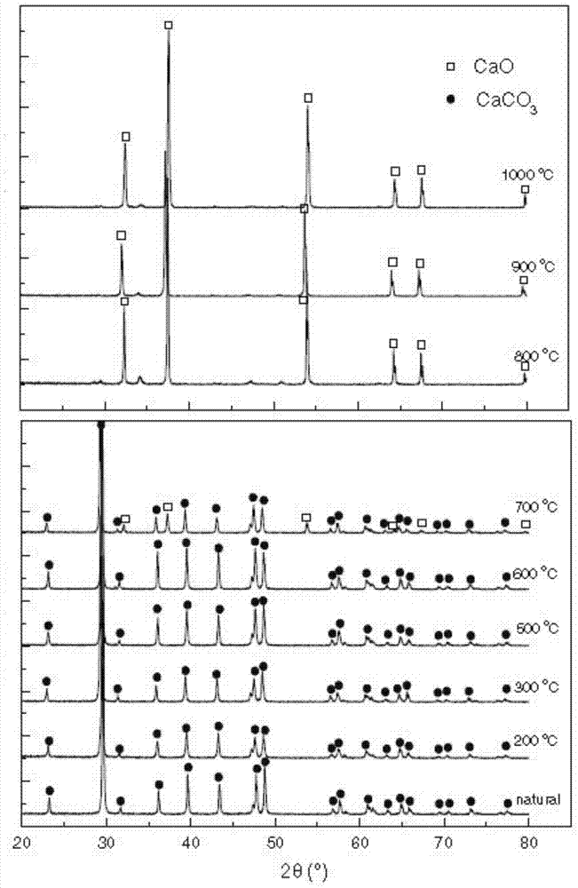 Preparation method of catalyst for preparing biodiesel