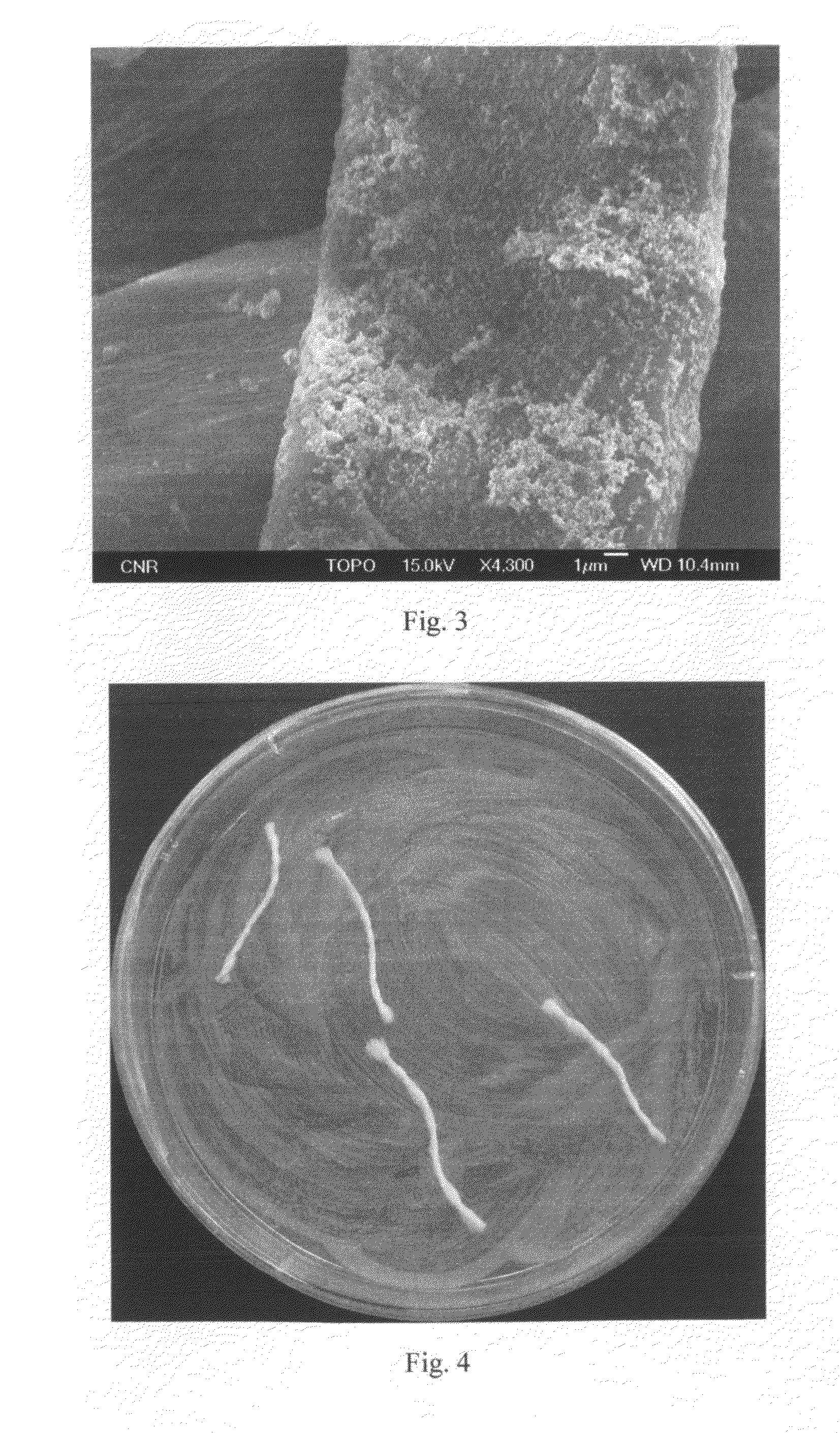 Antibacterial Surface Treatments Based on Silver Cluster Deposition