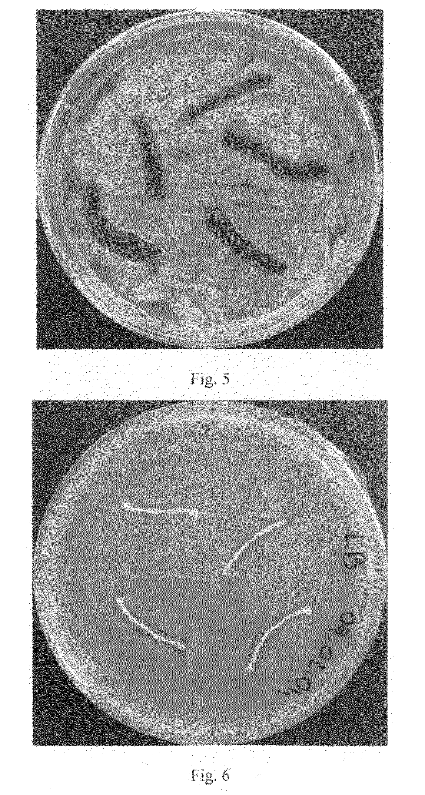 Antibacterial Surface Treatments Based on Silver Cluster Deposition