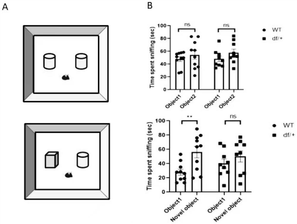 Application of indolepropionic acid in preparation of medicine for treating autism