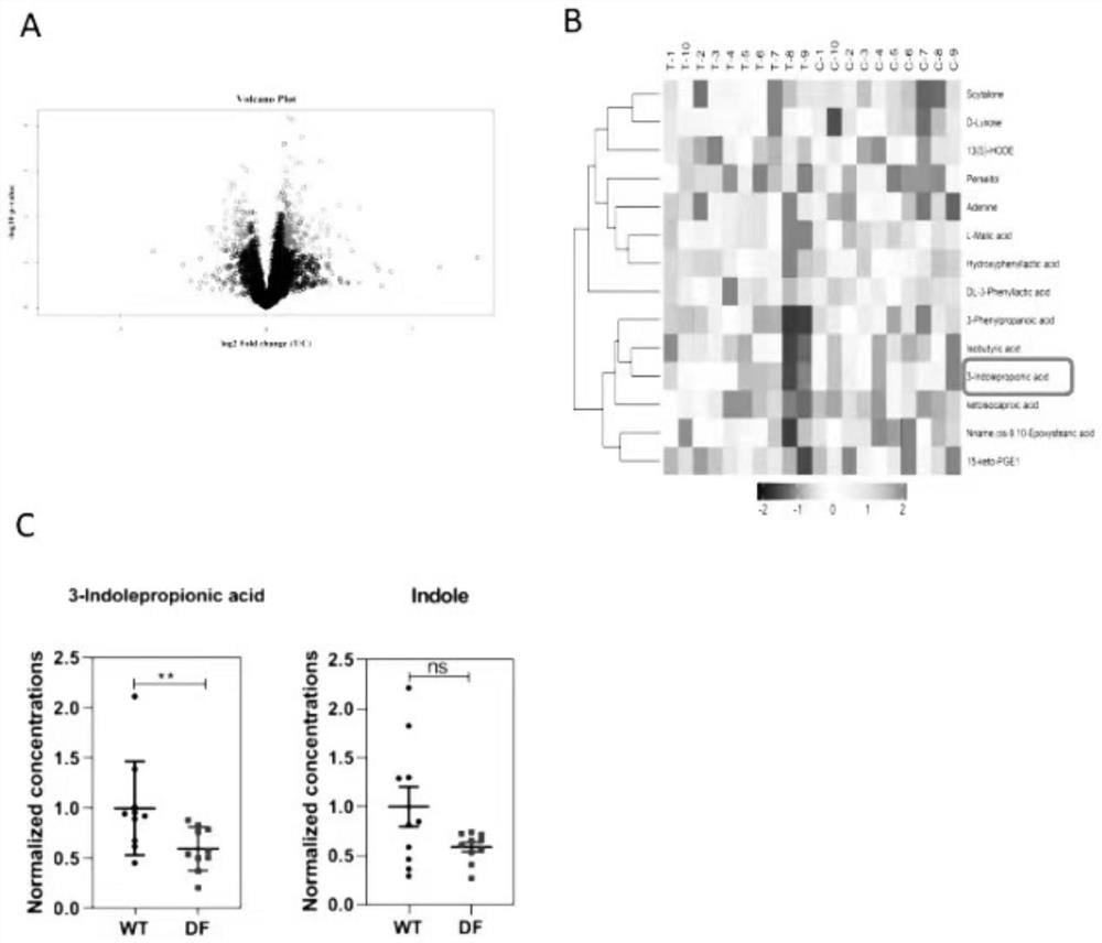 Application of indolepropionic acid in preparation of medicine for treating autism