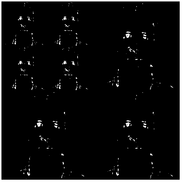 Random computing method for importance degree of wavelet coefficient of two-dimensional image