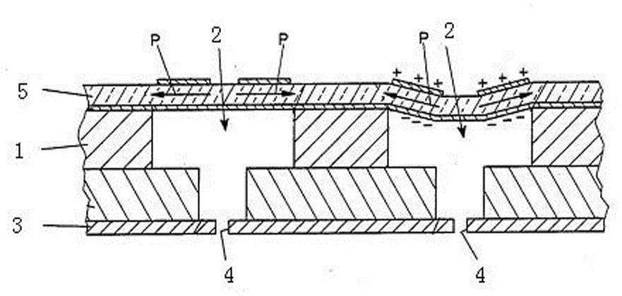 Ink cavity structure of an inkjet printer nozzle