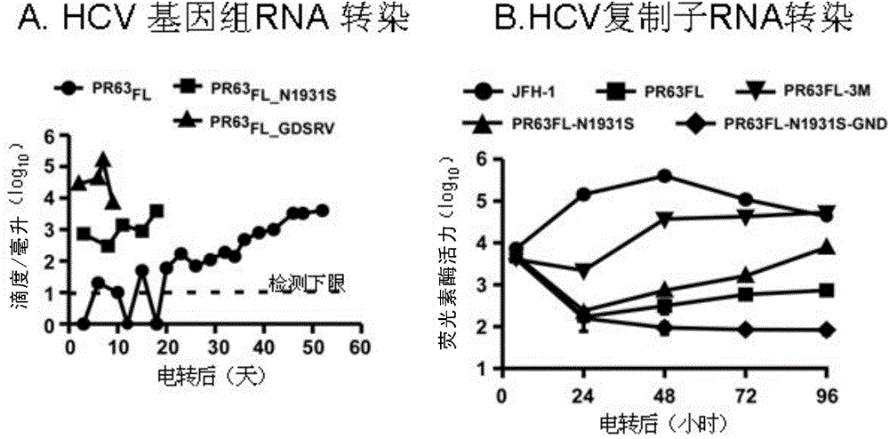 Method for constructing gene 2a type hepatitis c virus clinical isolates cell culture model