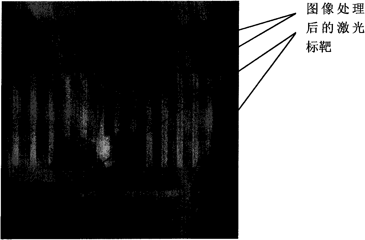 Image data acquisition at traffic accident scene and processing method thereof