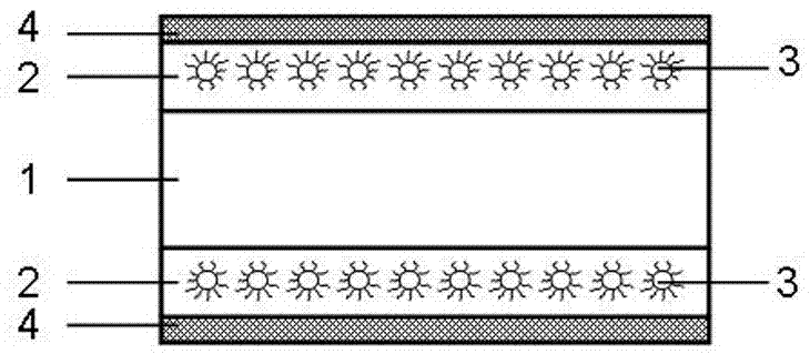 A kind of optical diffusion film and preparation method thereof