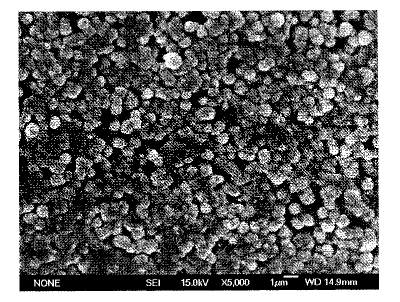 Method for preparing anode-catalyzed electrode for electrolyzing slurry coal